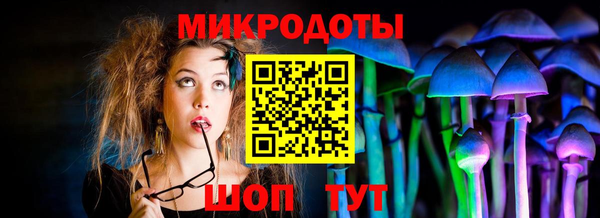 Галлюциногенные грибы прущие грибы  Псилоцибиновые грибы Psilocybine cubensis  Вход с VPN  Заречный 
